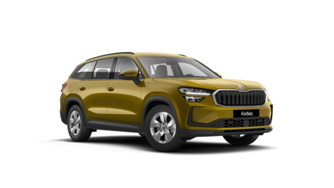 ŠKODA Kodiaq Selection 2.0 TDI 193CP DSG 4X4