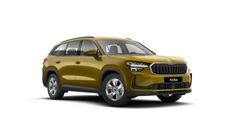 ŠKODA Kodiaq Selection 2.0 TDI 193CP DSG 4X4